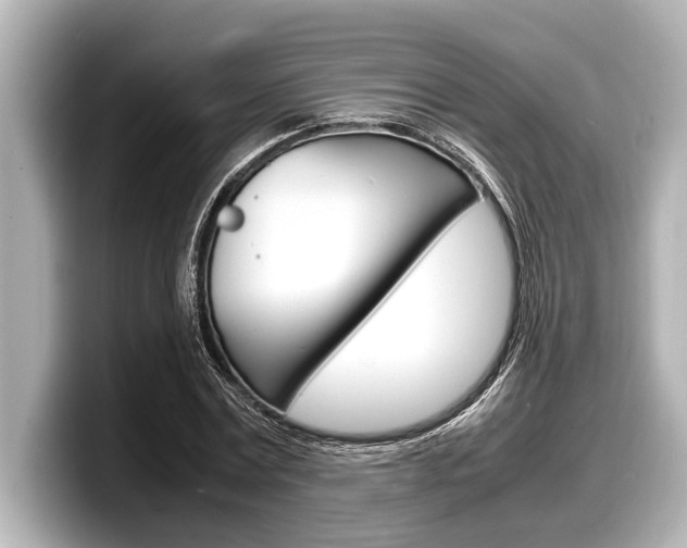 X0000098220779200804241132