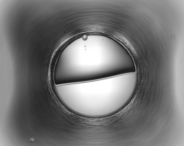 X0000098220780200804241132