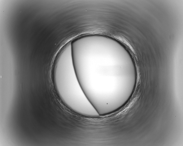 X0000098220781200804241132