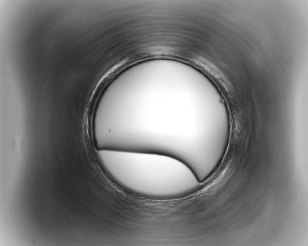 X0000098220782200804241132