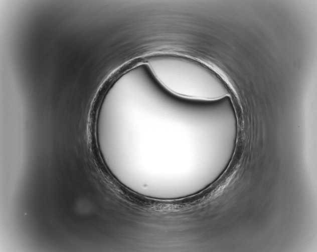 X0000098220783200804241132