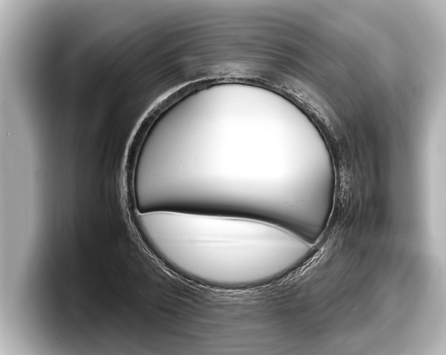 X0000098220784200804241132