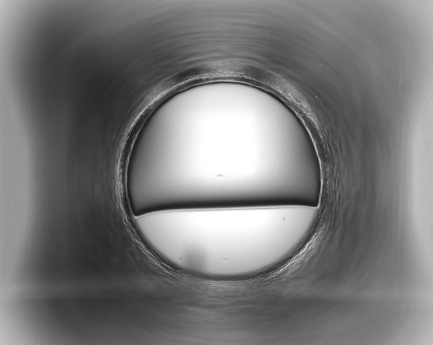 X0000098220789200804241132