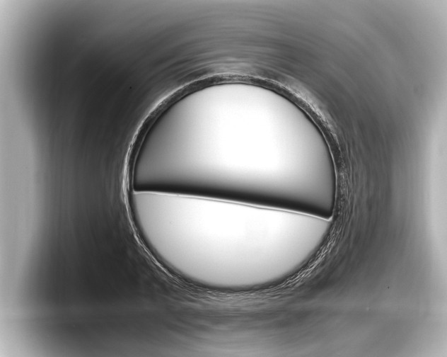 X0000098220791200804241132