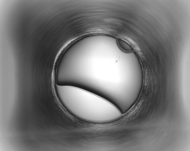 X0000098220796200804241132