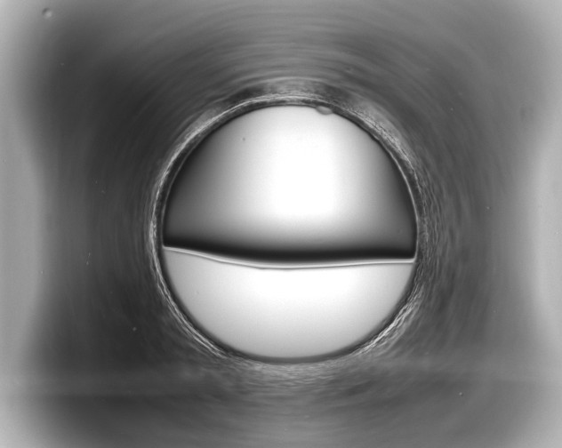 X0000098220797200804241132