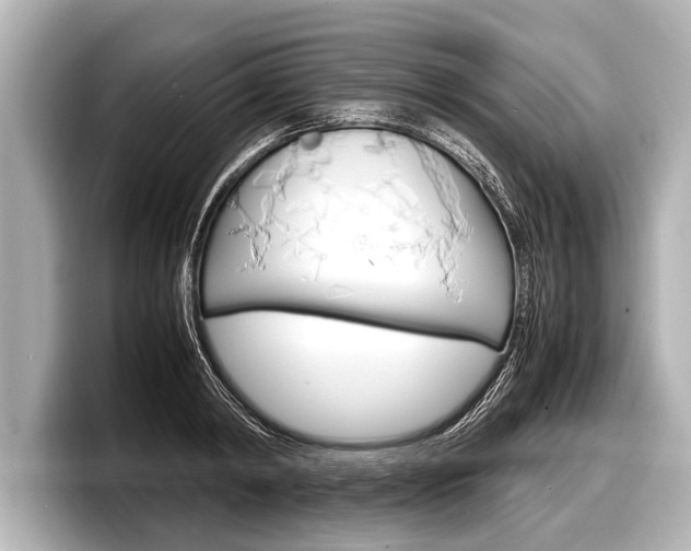 X0000098220798200804241132