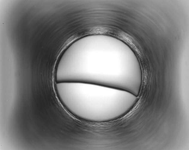 X0000098220802200804241132
