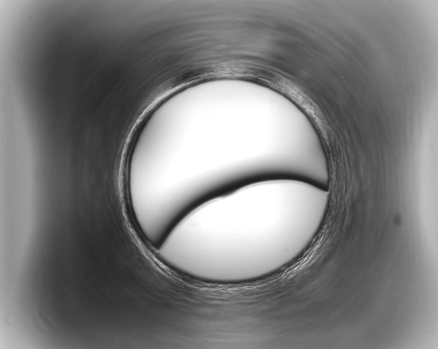 X0000098220803200804241132