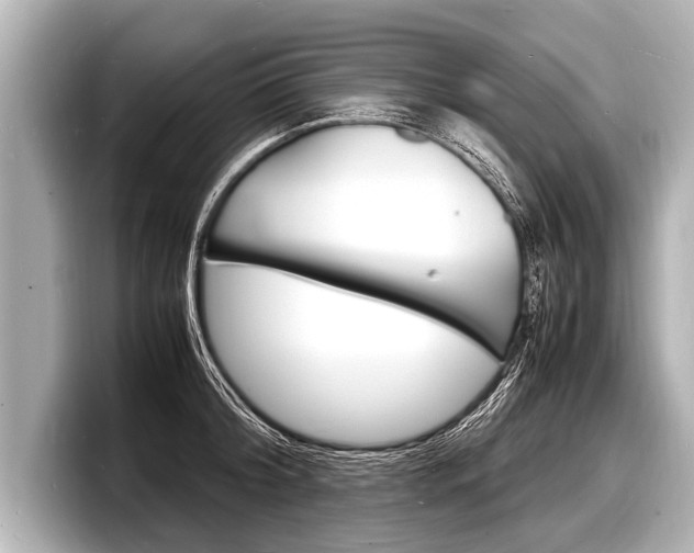 X0000098220804200804241132