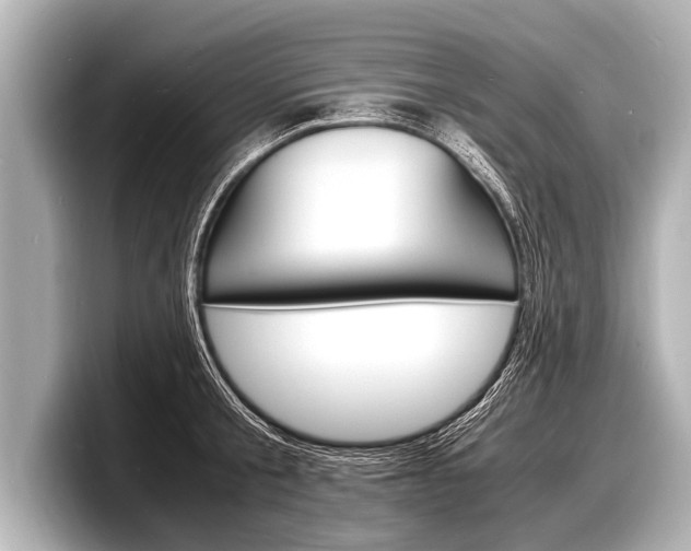 X0000098220805200804241132