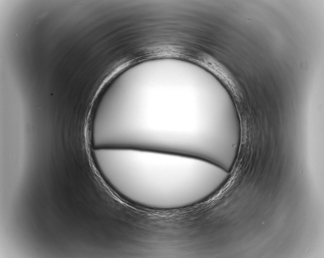 X0000098220806200804241132