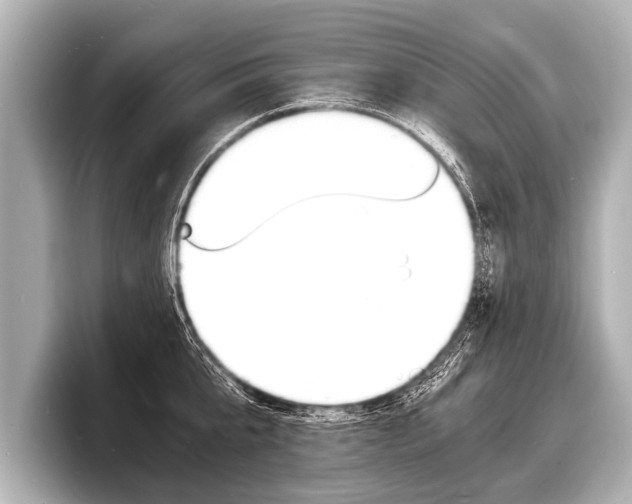 X0000098220807200804241132