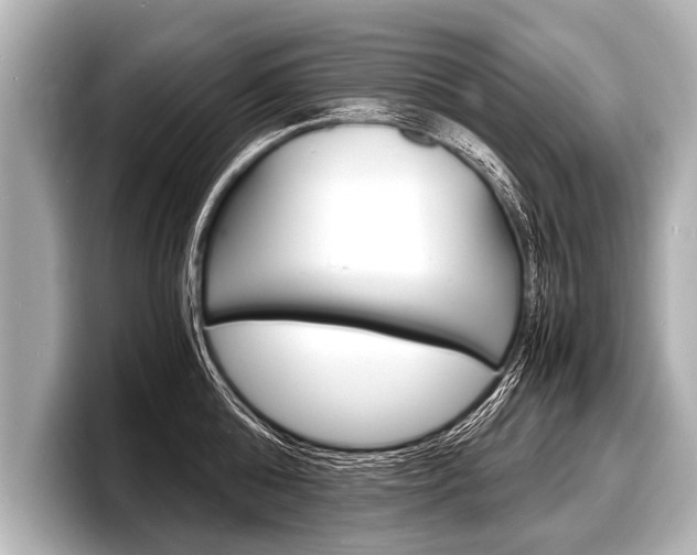 X0000098220808200804241132