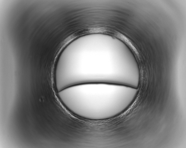 X0000098220810200804241132