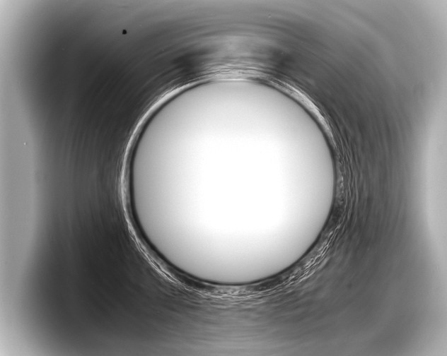 X0000098220811200804241132
