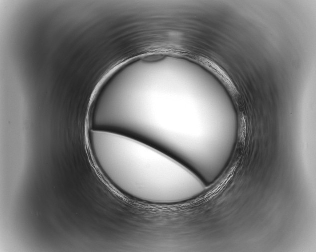 X0000098220812200804241132
