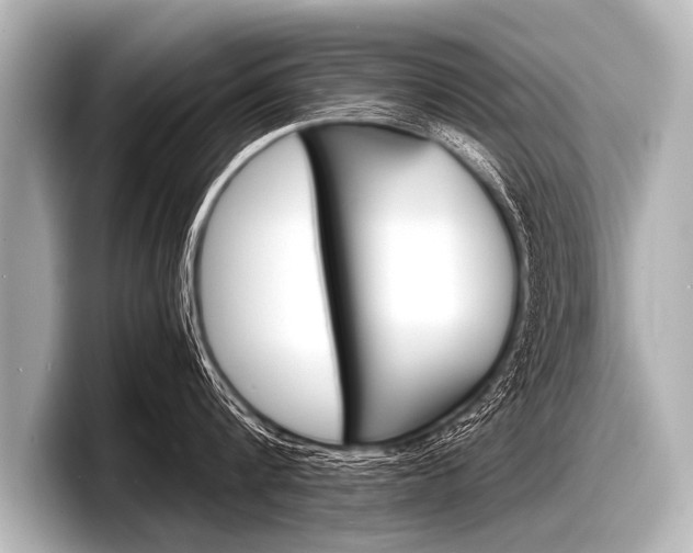 X0000098220816200804241132