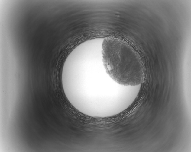 X0000098220818200804241131