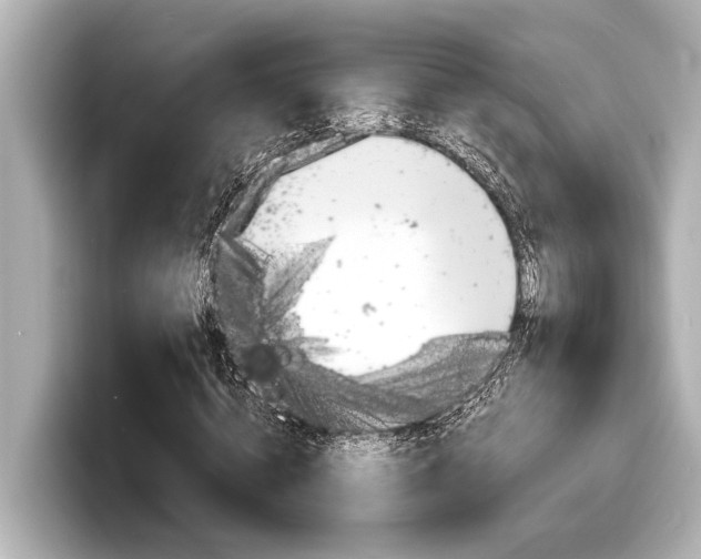 X0000098220820200804241131