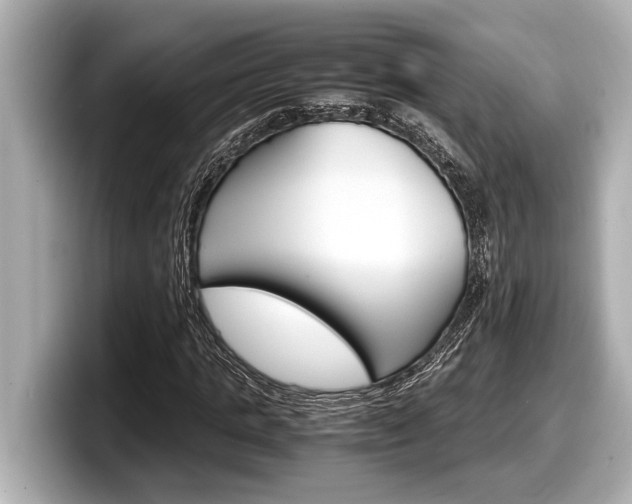 X0000098220821200804241131