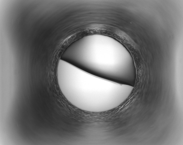 X0000098220822200804241131