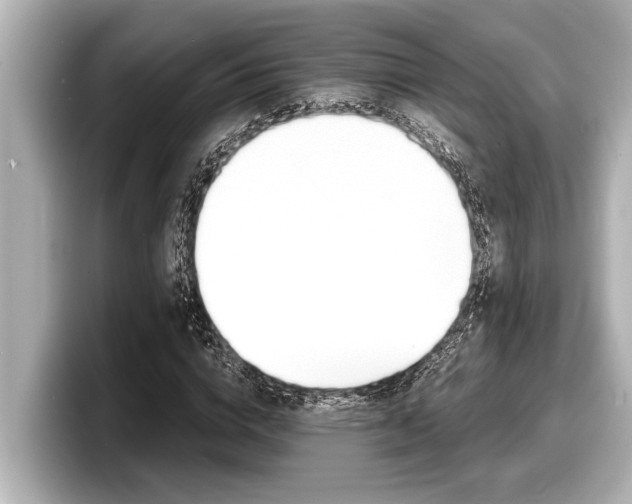 X0000098220824200804241131
