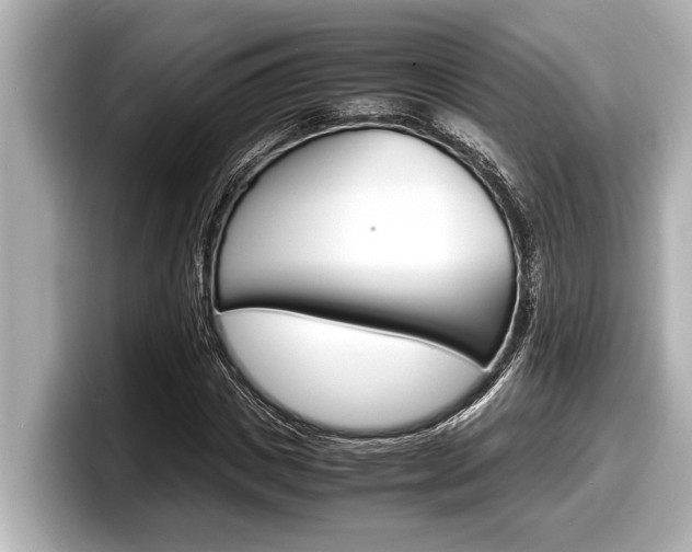 X0000098220825200804241131