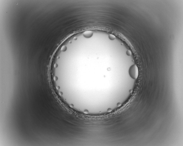 X0000098220828200804241131