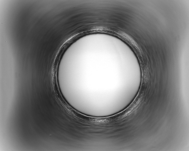 X0000098220831200804241131