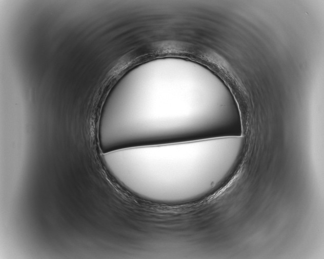 X0000098220833200804241131