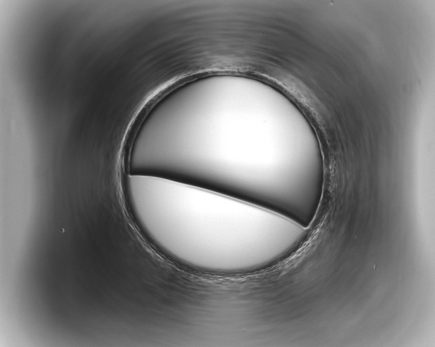X0000098220838200804241131