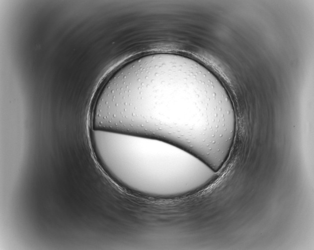 X0000098220839200804241131