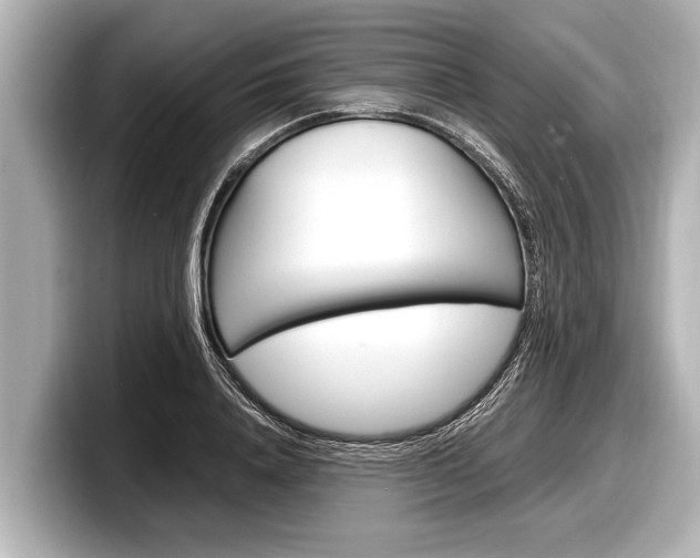 X0000098220840200804241131