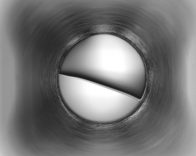 X0000098220841200804241131