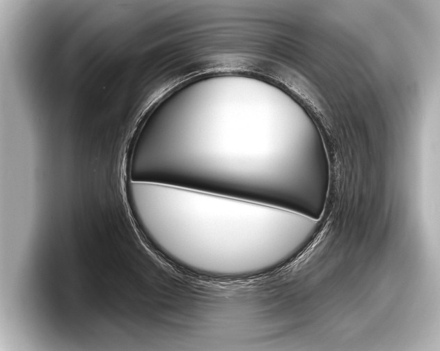 X0000098220842200804241131