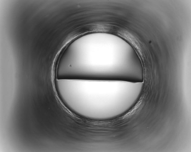 X0000098220843200804241131