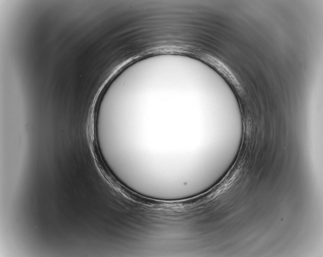 X0000098220844200804241131