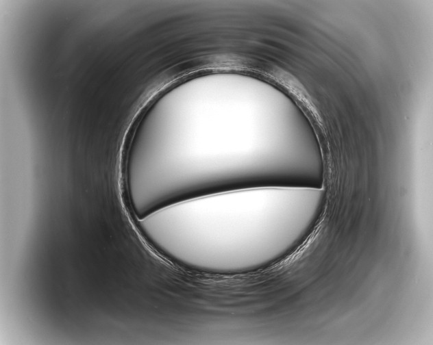 X0000098220845200804241131