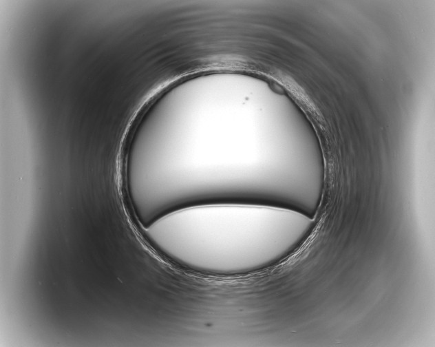 X0000098220846200804241131