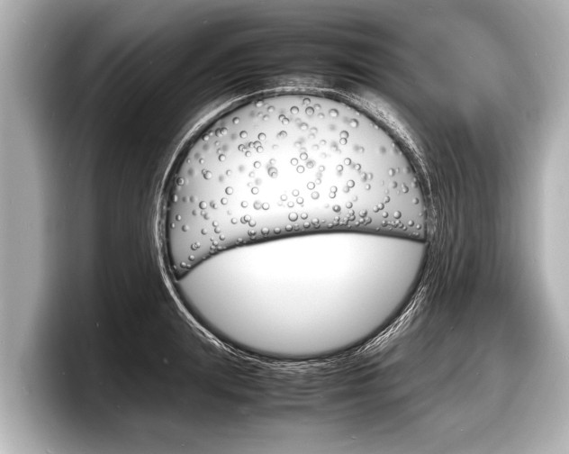 X0000098220847200804241131