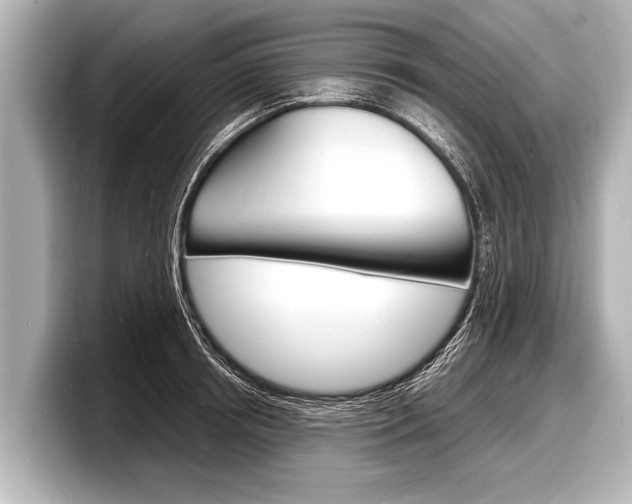 X0000098220850200804241132