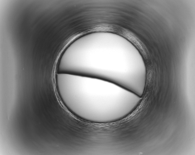 X0000098220852200804241132
