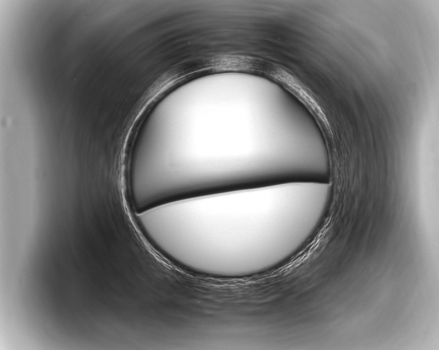 X0000098220853200804241132