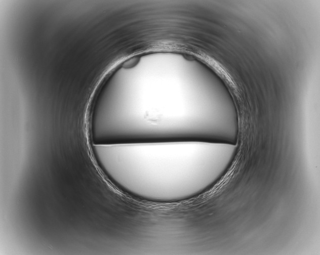 X0000098220854200804241132