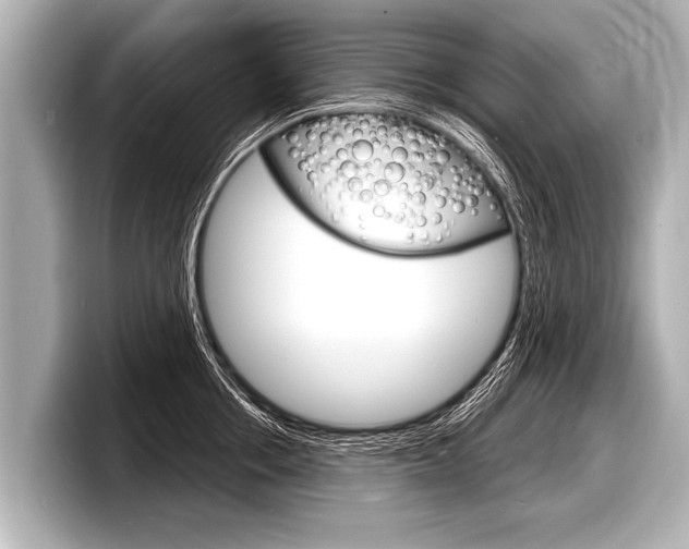 X0000098220858200804241132