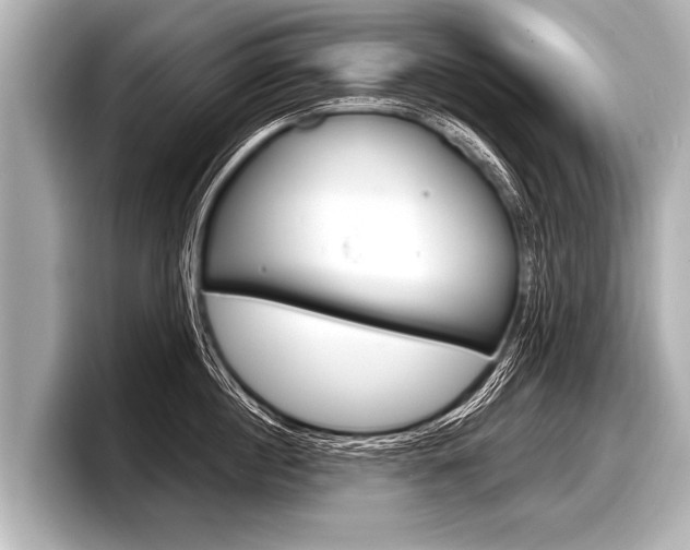 X0000098220860200804241132