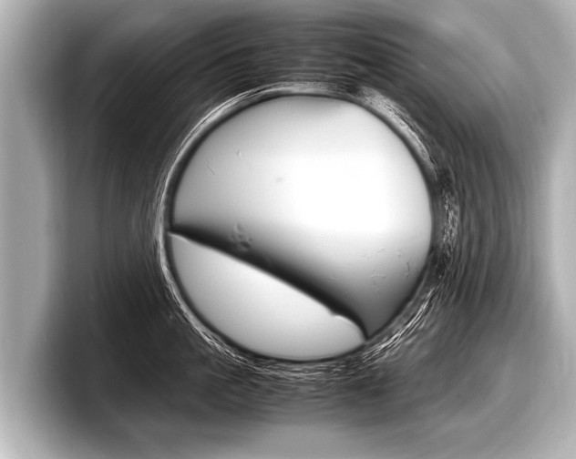 X0000098220861200804241132