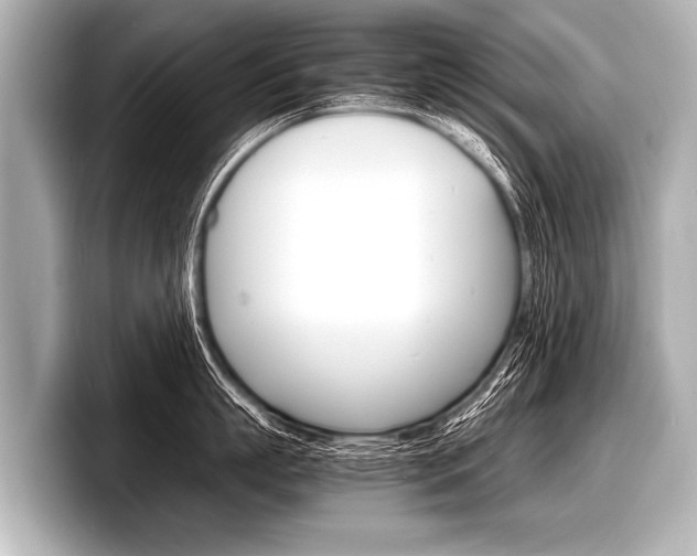 X0000098220863200804241132