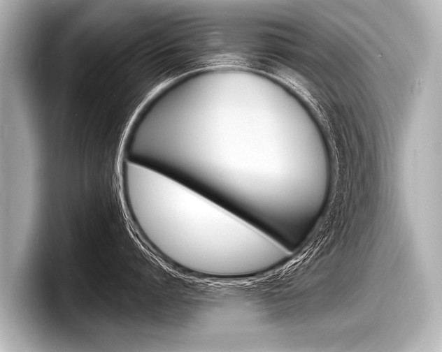 X0000098220864200804241132